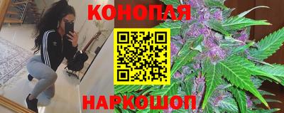 прущие крисы Кингисепп
