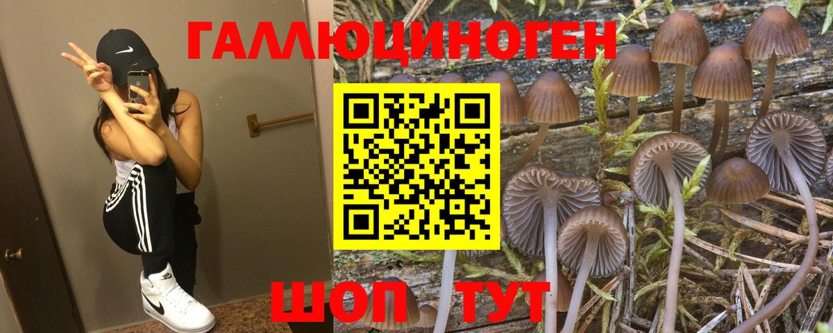 Шатура  магазин  наркотиков  Галлюциногенные грибы Cubensis  Вход с VPN  Псилоцибиновые грибы мицелий 